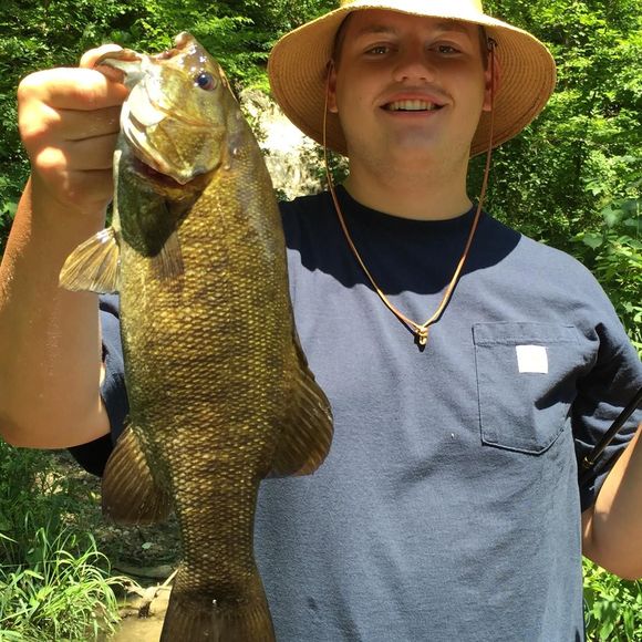 Meet your Posher, Ethan - Picture 1 of 1